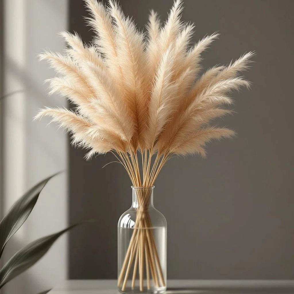 Dried Pampas Grass Bundle (Natural)