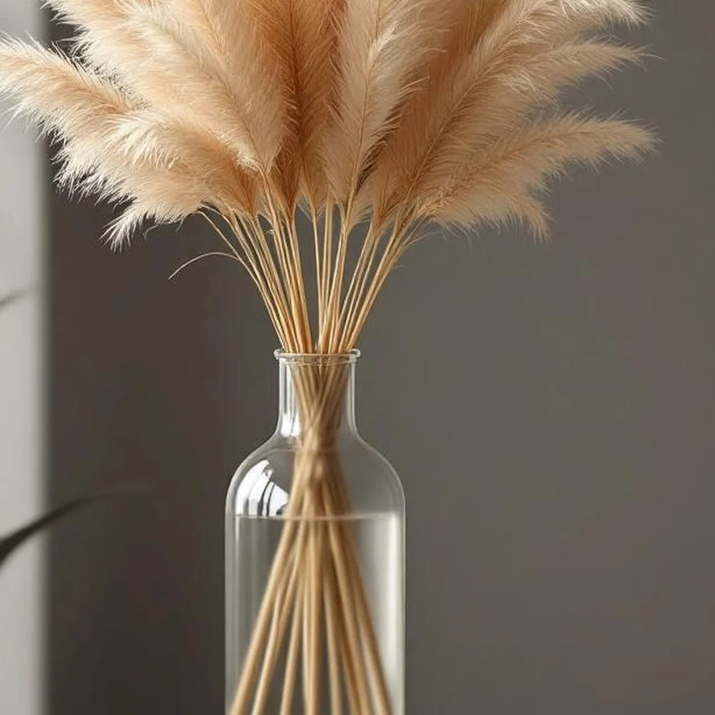 Dried Pampas Grass Bundle (Natural)
