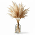 Dried Pampas Grass Bundle (Natural)